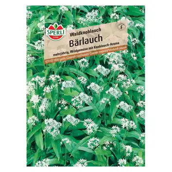 Czosnek niedźwiedzi 'Waldknoblauch' Nasiona PREMIUM Sperli