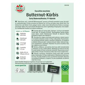 Dynia 'Early Butternut/Avalon' Nasiona PREMIUM Sperli