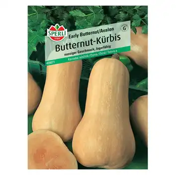 Dynia 'Early Butternut/Avalon' Nasiona PREMIUM Sperli