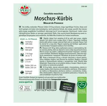 Dynia 'Muscat de Provence' Nasiona PREMIUM Sperli