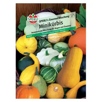 Dynia 'SPERLI's Gourmet Mischung' Nasiona PREMIUM Sperli