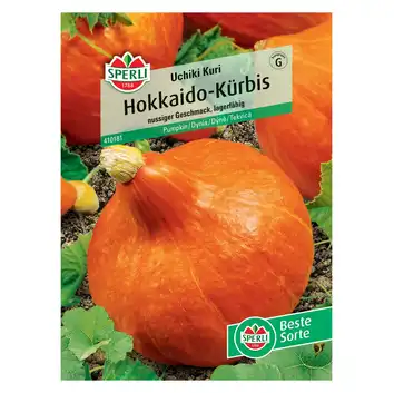 Dynia 'Uchiki Kuri' Nasiona PREMIUM Sperli