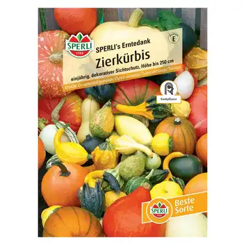 Dynia ozdobna 'SPERLI's Erntedank' Nasiona PREMIUM Sperli