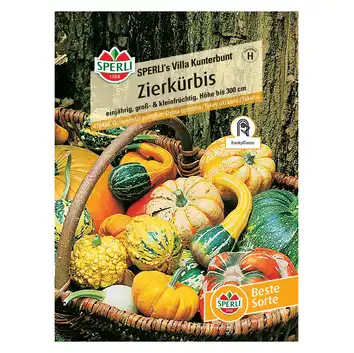 Dynia ozdobna 'SPERLI's Villa Kunterbunt' Nasiona PREMIUM Sperli
