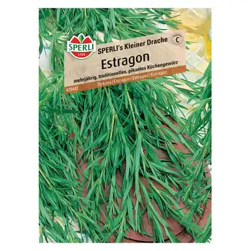 Estragon 'SPERLI's Kleiner Drache' Nasiona PREMIUM Sperli