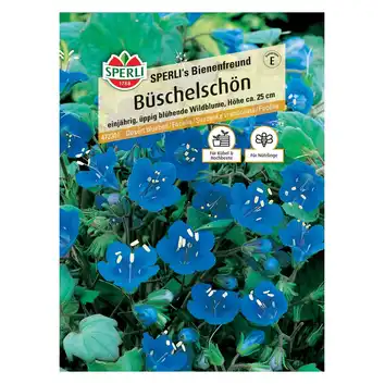 Facelia 'SPERLI's Bienenfreund' Nasiona PREMIUM Sperli