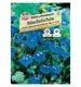Facelia 'SPERLI's Bienenfreund' Nasiona PREMIUM Sperli