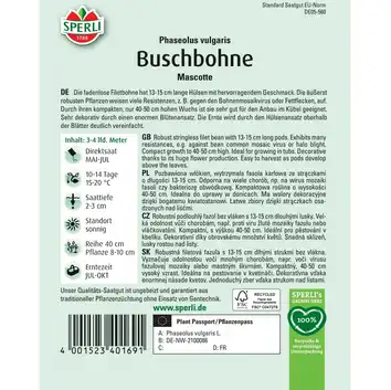 Fasola karłowa 'Mascotte' Nasiona PREMIUM Sperli