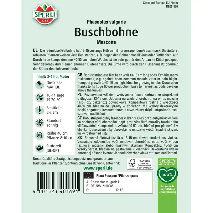 Fasola karłowa 'Mascotte' Nasiona PREMIUM Sperli