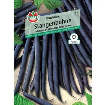 Fasola tyczkowa 'Blauhilde' Nasiona PREMIUM Sperli