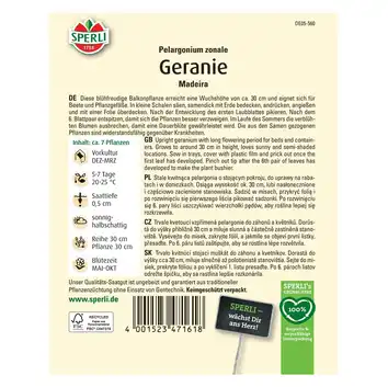Geranium 'Madeira' Nasiona PREMIUM Sperli