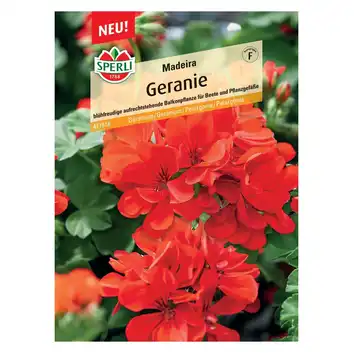 Geranium 'Madeira' Nasiona PREMIUM Sperli