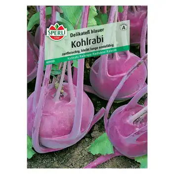 Kalarepa 'Delikateß blauer' Nasiona PREMIUM Sperli