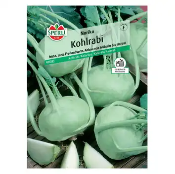 Kalarepa 'Noriko' Nasiona PREMIUM Sperli
