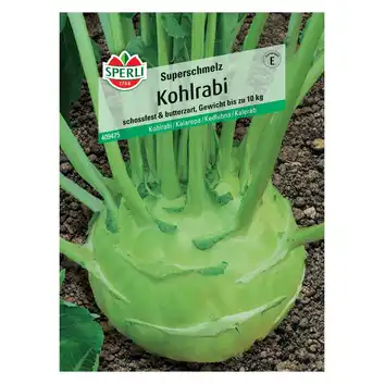 Kalarepa 'Superschmelz' Nasiona PREMIUM Sperli