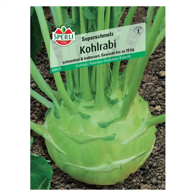 Kalarepa 'Superschmelz' Nasiona PREMIUM Sperli