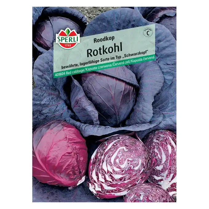 Kapusta czerwona 'Roodkop' Nasiona PREMIUM Sperli