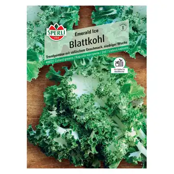 Kapusta warzywna 'Emerald Ice' Nasiona PREMIUM Sperli