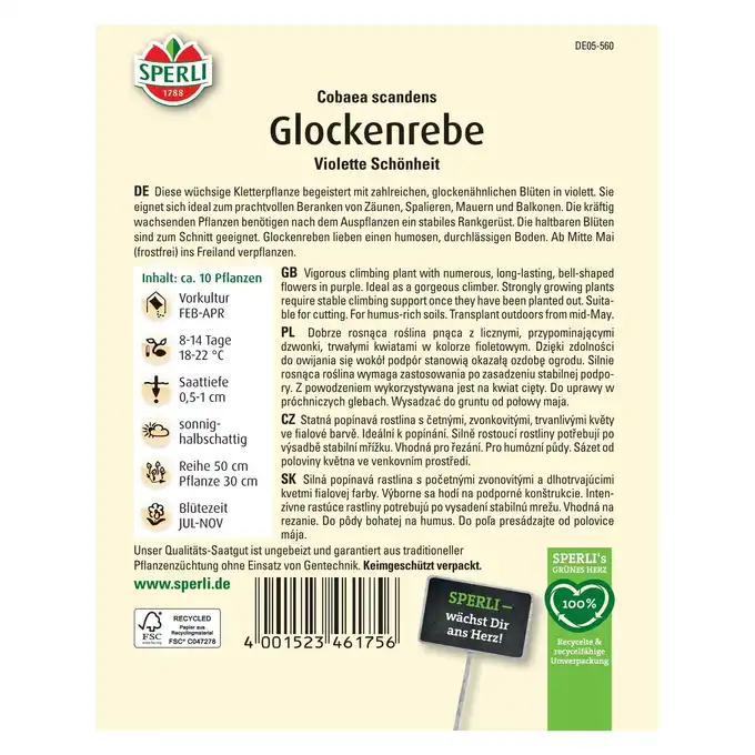 Kobea pnąca 'Violette Schönheit' Nasiona PREMIUM Sperli