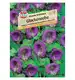 Kobea pnąca 'Violette Schönheit' Nasiona PREMIUM Sperli