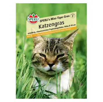 Kocia trawa 'SPERLI's Mini-Tiger-Gras' Nasiona PREMIUM Sperli