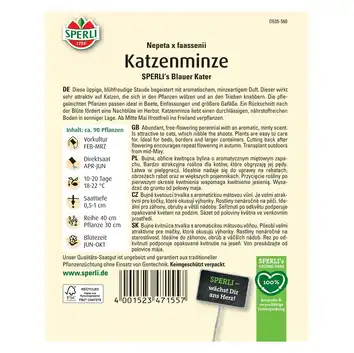Kocimiętka 'SPERLI's Blauer Kater' Nasiona PREMIUM Sperli