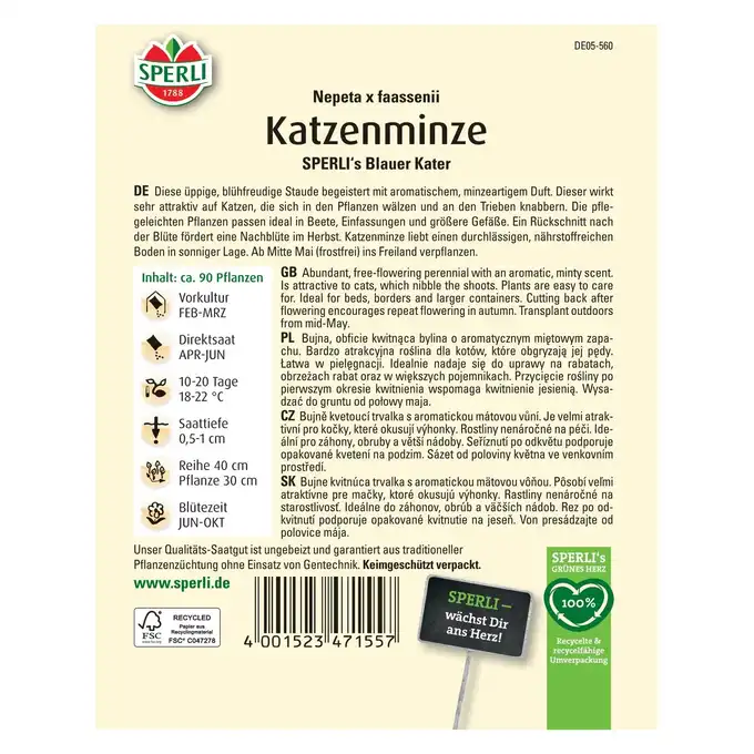 Kocimiętka 'SPERLI's Blauer Kater' Nasiona PREMIUM Sperli