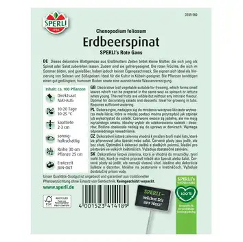 Komosa rózgowa 'SPERLI's Rote Gans' Nasiona PREMIUM Sperli