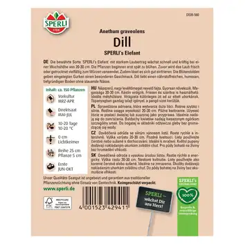Koper ogrodowy 'SPERLI's Elefant' Nasiona PREMIUM Sperli