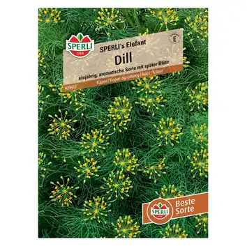 Koper ogrodowy 'SPERLI's Elefant' Nasiona PREMIUM Sperli