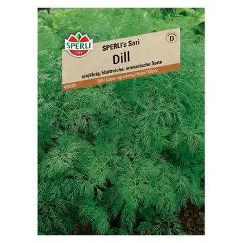 Koper ogrodowy 'SPERLI's Sari' Nasiona PREMIUM Sperli