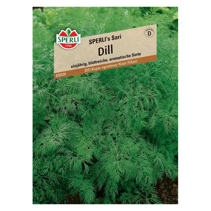 Koper ogrodowy 'SPERLI's Sari' Nasiona PREMIUM Sperli