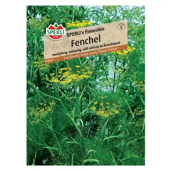 Koper włoski 'SPERLI's Finocchio' Nasiona PREMIUM Sperli
