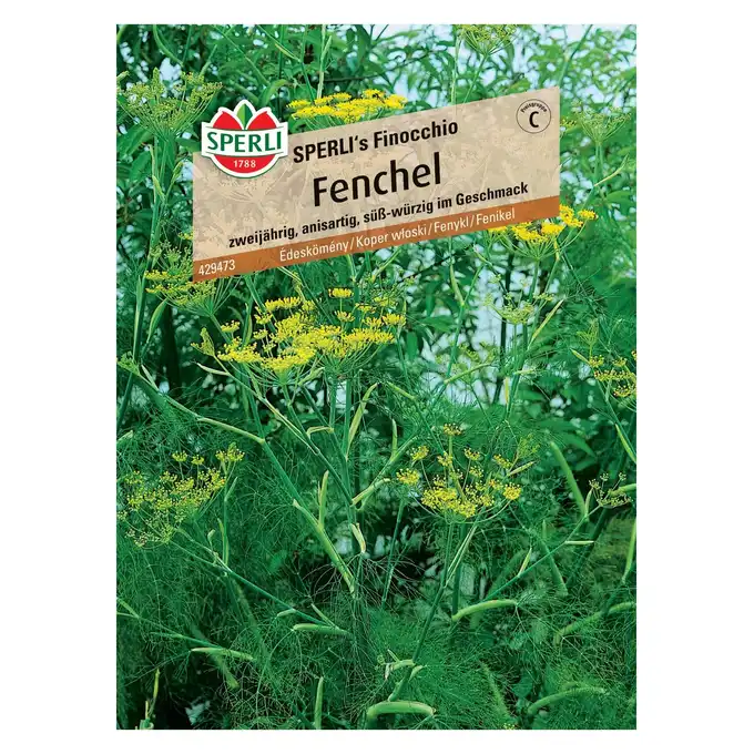 Koper włoski 'SPERLI's Finocchio' Nasiona PREMIUM Sperli