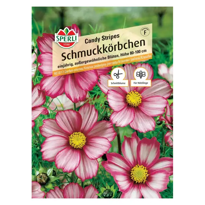 Kosmos podwójnie pierzasty 'Candy Stripes' Nasiona PREMIUM Sperli