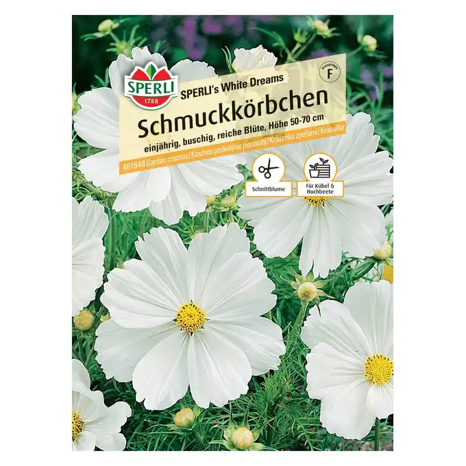 Kosmos podwójnie pierzasty 'SPERLI's White Dreams' Nasiona PREMIUM Sperli