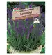 Lawenda 'SPERLI's Blaues Wunder' Nasiona PREMIUM Sperli