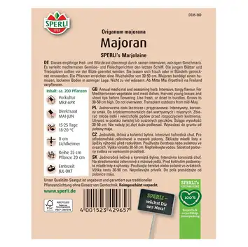 Lebiodka majeranek 'SPERLI's Marjolaine' Nasiona PREMIUM Sperli