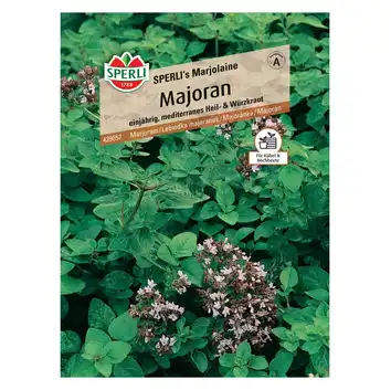 Lebiodka majeranek 'SPERLI's Marjolaine' Nasiona PREMIUM Sperli