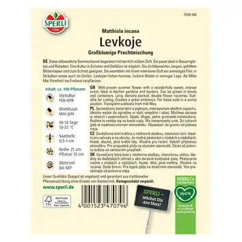 Lewkonia 'Großblumige Prachtmischung' Nasiona PREMIUM Sperli