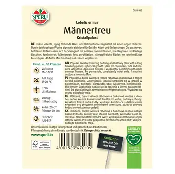 Lobelia przylądkowa 'Kristallpalast' Nasiona PREMIUM Sperli
