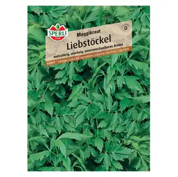 Lubczyk ogrodowy 'Maggikraut' Nasiona PREMIUM Sperli