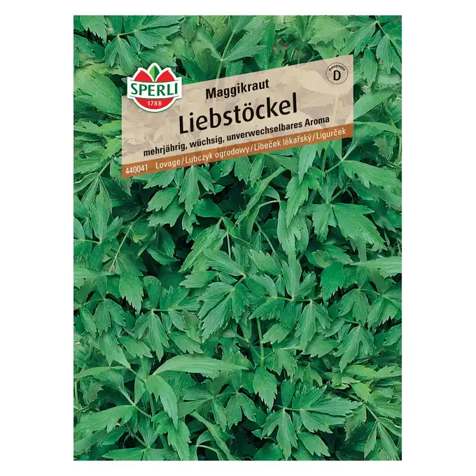Lubczyk ogrodowy 'Maggikraut' Nasiona PREMIUM Sperli