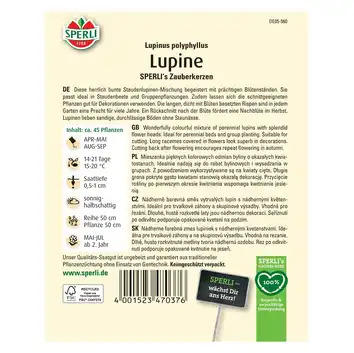 Łubin 'SPERLI's Zauberkerzen' Nasiona PREMIUM Sperli