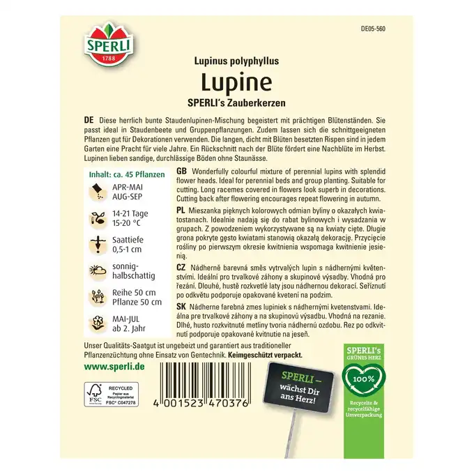Łubin 'SPERLI's Zauberkerzen' Nasiona PREMIUM Sperli