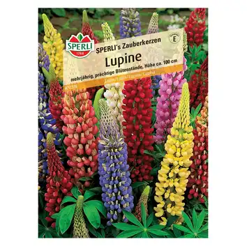 Łubin 'SPERLI's Zauberkerzen' Nasiona PREMIUM Sperli