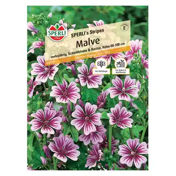 Malwa 'SPERLI's Stripes' Nasiona PREMIUM Sperli