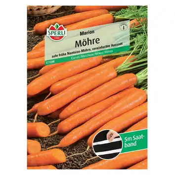 Marchew 'Marion' Nasiona PREMIUM Sperli