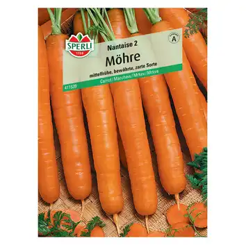 Marchew 'Nantaise 2' Nasiona PREMIUM Sperli
