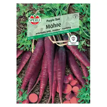 Marchew 'Purple Sun' Nasiona PREMIUM Sperli